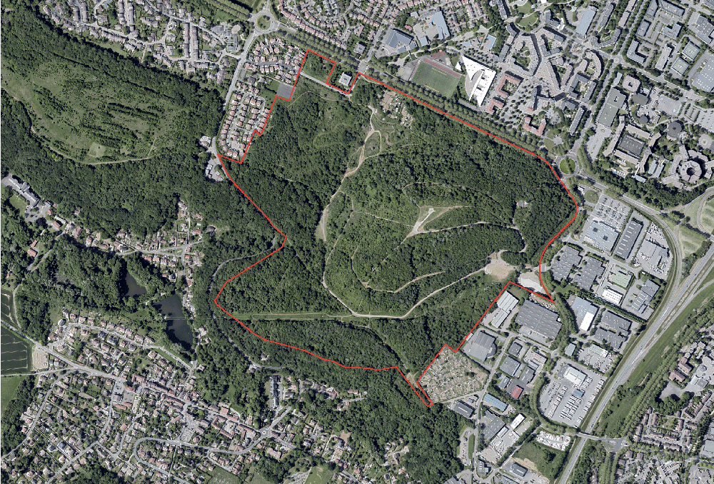 2019 :
La végétation de la Colline est renforcée naturellement. Il s’y dessine une mosaïque de
milieux et d’habitats.
Source : Remonter le temps_IGN
