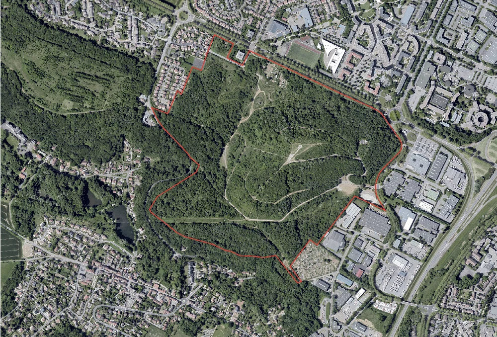 2019 :
La végétation de la Colline est renforcée naturellement. Il s’y dessine une mosaïque de
milieux et d’habitats.
Source : Remonter le temps_IGN