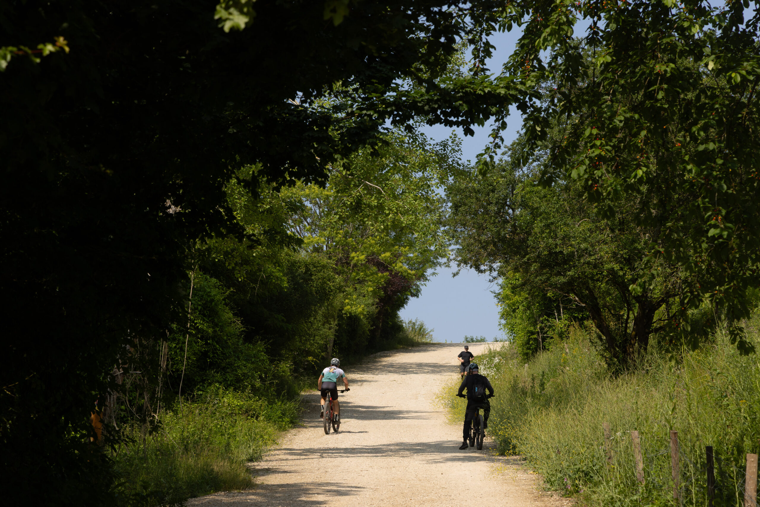 La Colline d'Elancourt / © SOLIDEO