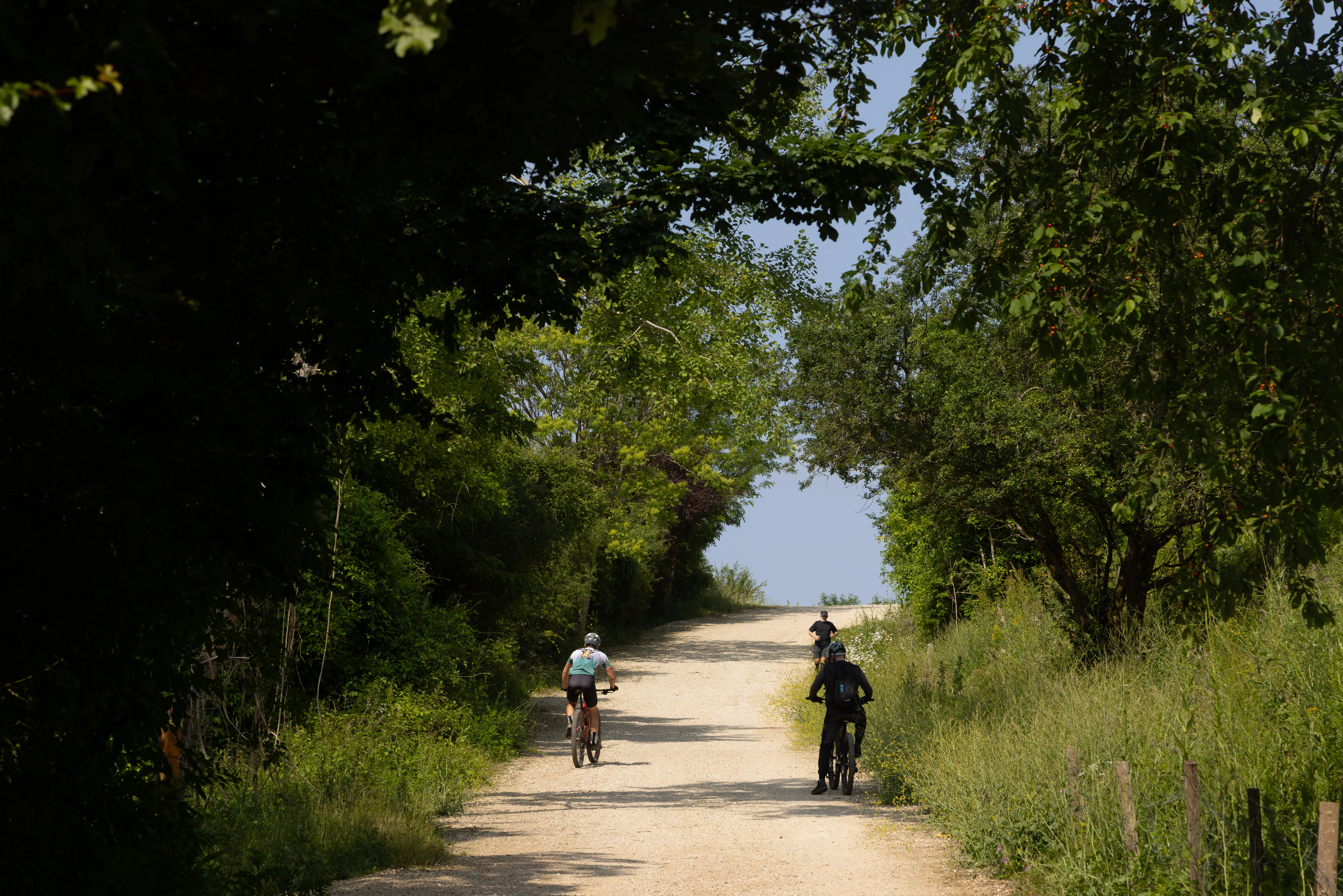 La Colline d'Elancourt / © SOLIDEO