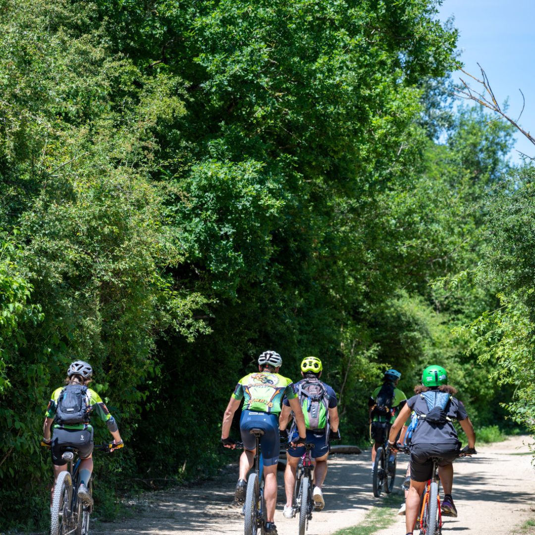 Initiation VTT colline Initiation VTT sur le site de la colline animation ete Club de VTT de Montigny le Bx Randonneurs
